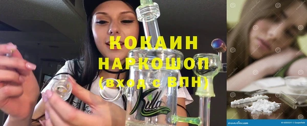 гашик Наволоки