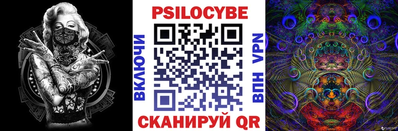 Купить  Чкаловск  Псилоцибиновые грибы Psilocybe 